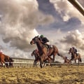 Everything You Need to Know About Horseracing at Lingfield Park Racecourse