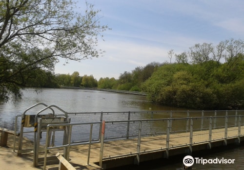 Explore Ifield Mill Pond: A Historic Site in Crawley