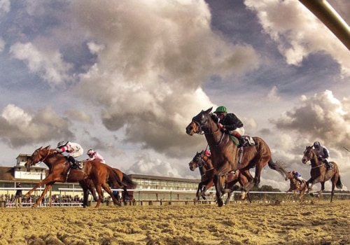 Everything You Need to Know About Horseracing at Lingfield Park Racecourse